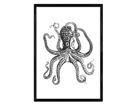 Nacnic Lámina NACNIC de Pulpo (A3)