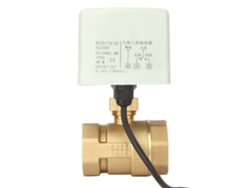 Válvula De Esfera Motorizada De Latón 2 Vías 3 Hilos Ac220v Dn32 1-1/4"