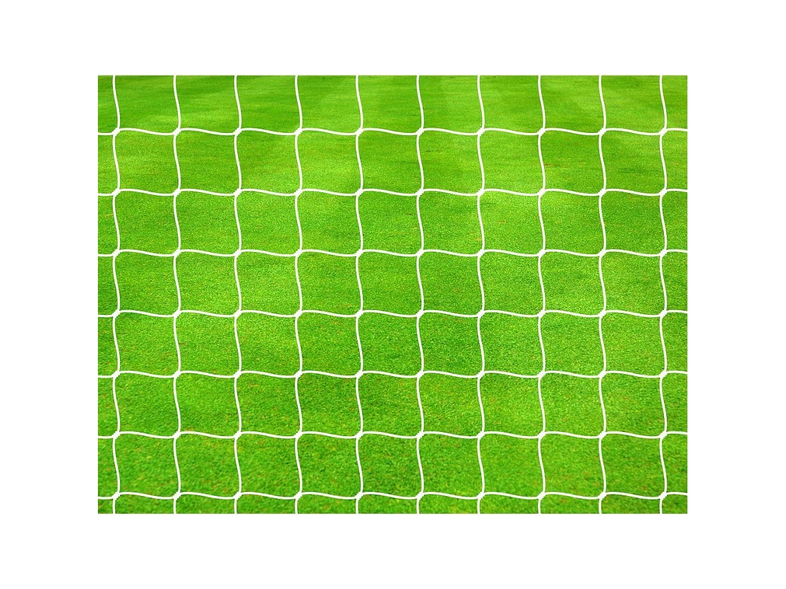 Red de fútbol para la portería PRECISION Pro (x2)