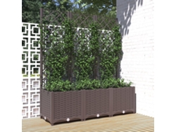 Maceta/Jardinera de Jardín con Enrejado 120X40X136 Cm PP Castaño