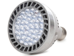 Bombilla LED GREENICE HO-PAR30-45-WF-W (Casquillo: E27)