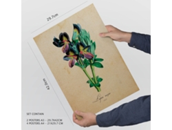 Conjunto de Pósters NACNIC (29.7 x 42 cm)