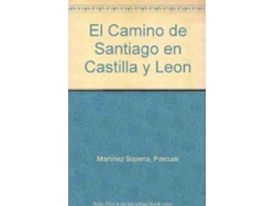 Libro Camino Santiago C.-Leon de Rafael A Martinez (Español)