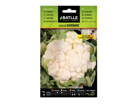 Semillas de Coliflor Dominant Blanquita Sobre