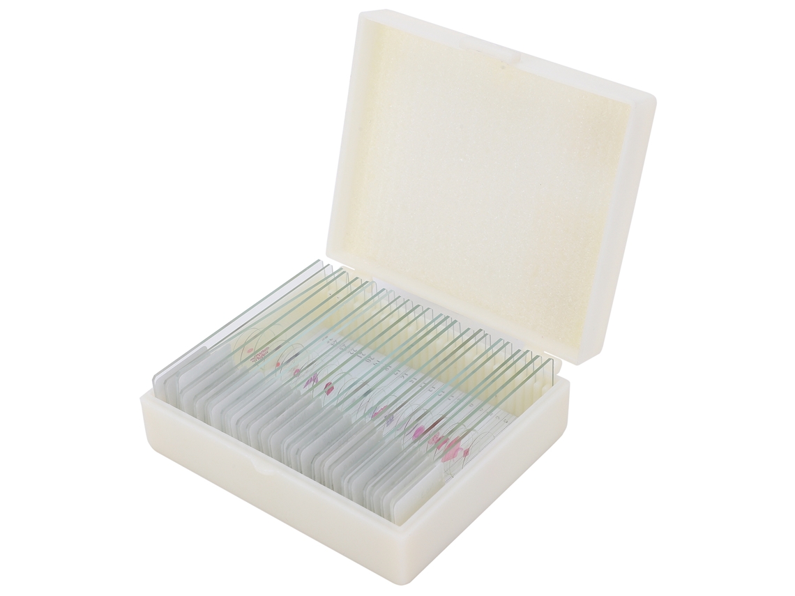 25 portaobjetos para microscopio para especímenes animales para la enseñanza de las ciencias DW-25