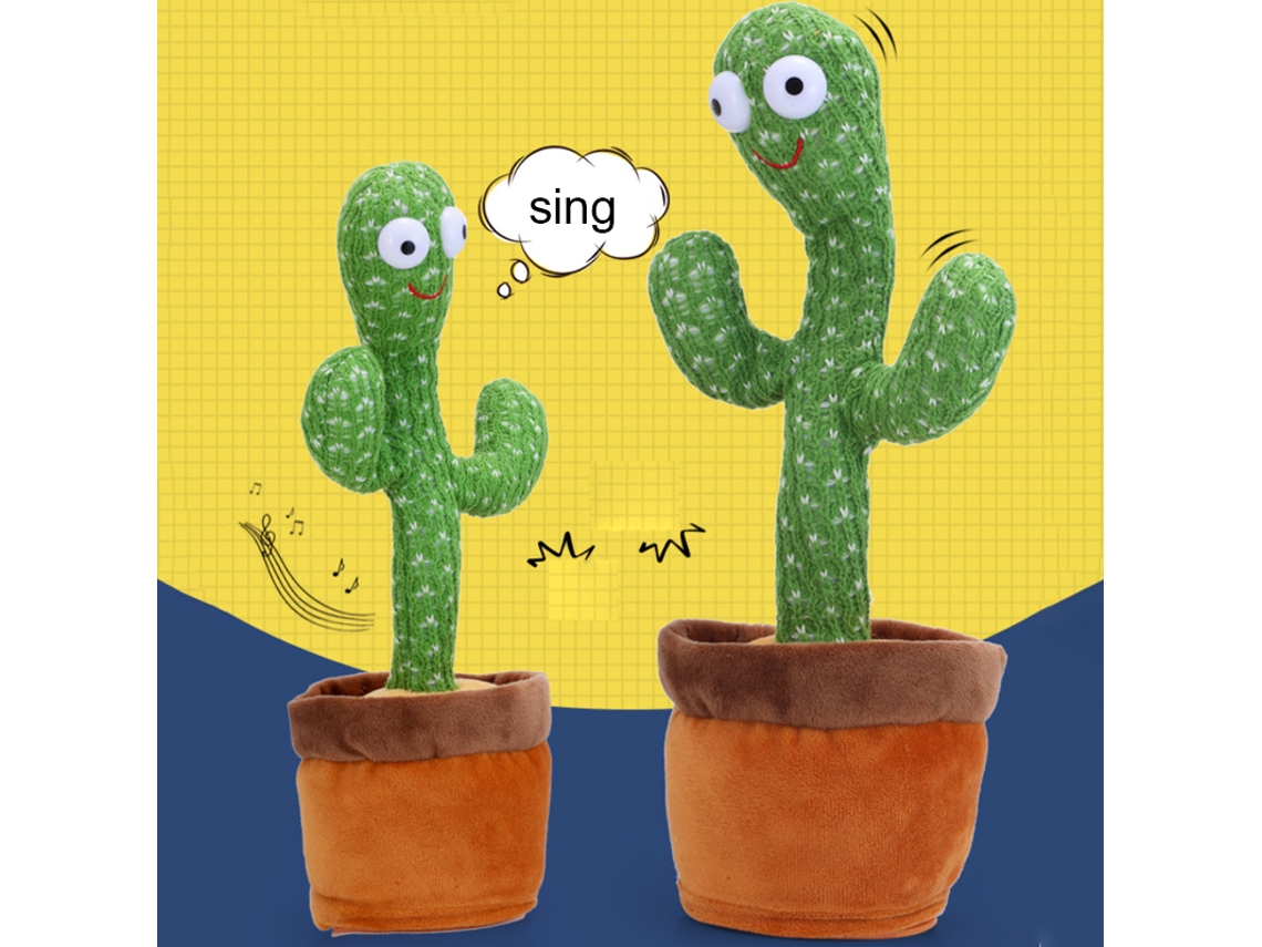 Cactus bailarín y cantante, regalo de cumpleaños
