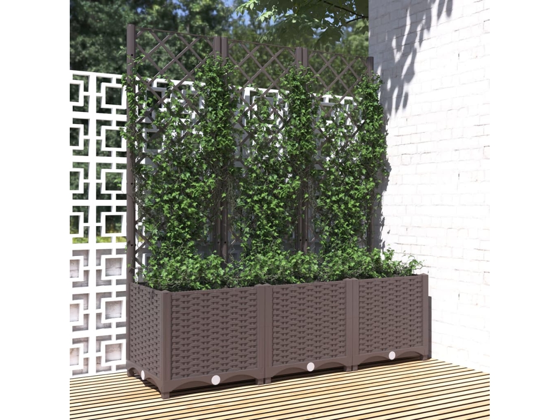 Maceta/Jardinera de Jardín con Enrejado 120X40X136 Cm PP Castaño