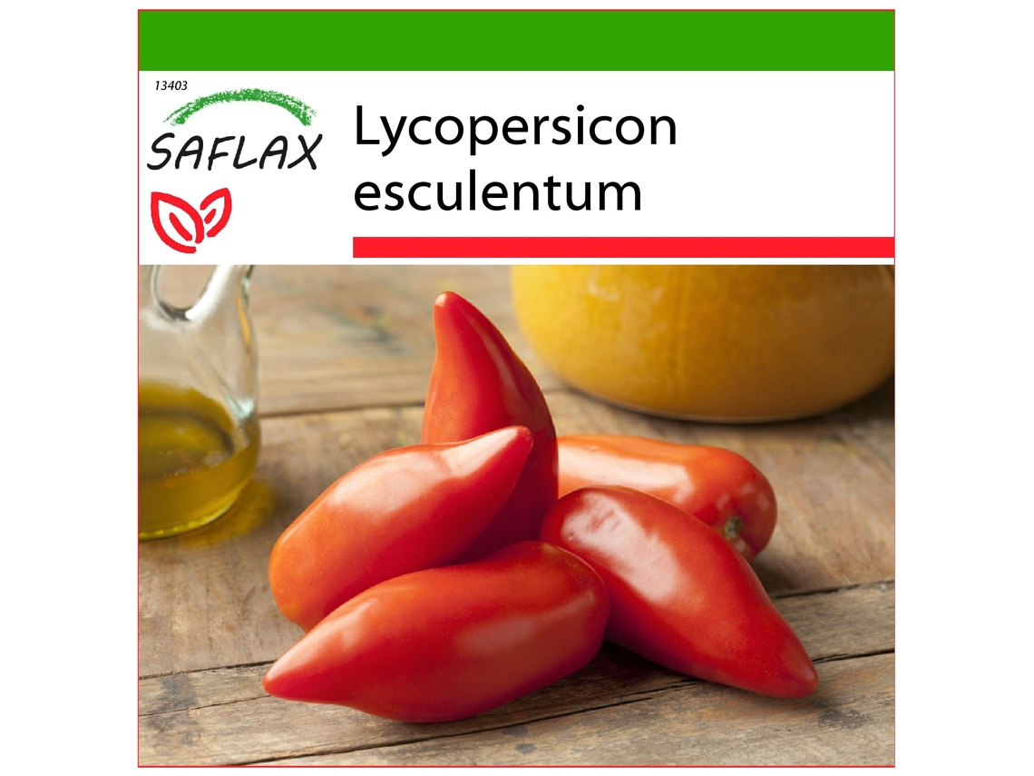 SAFLAX Tomate Andine Cornue (de los Andes) 10 semillas Con sustrato de cultivo libre de gérmenes Lycopersicon esculentum