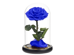 Decoración de flores eternas con base de vidrio y luces, rosa ideal para cumpleaños y regalos festivos para amigos y familiares.