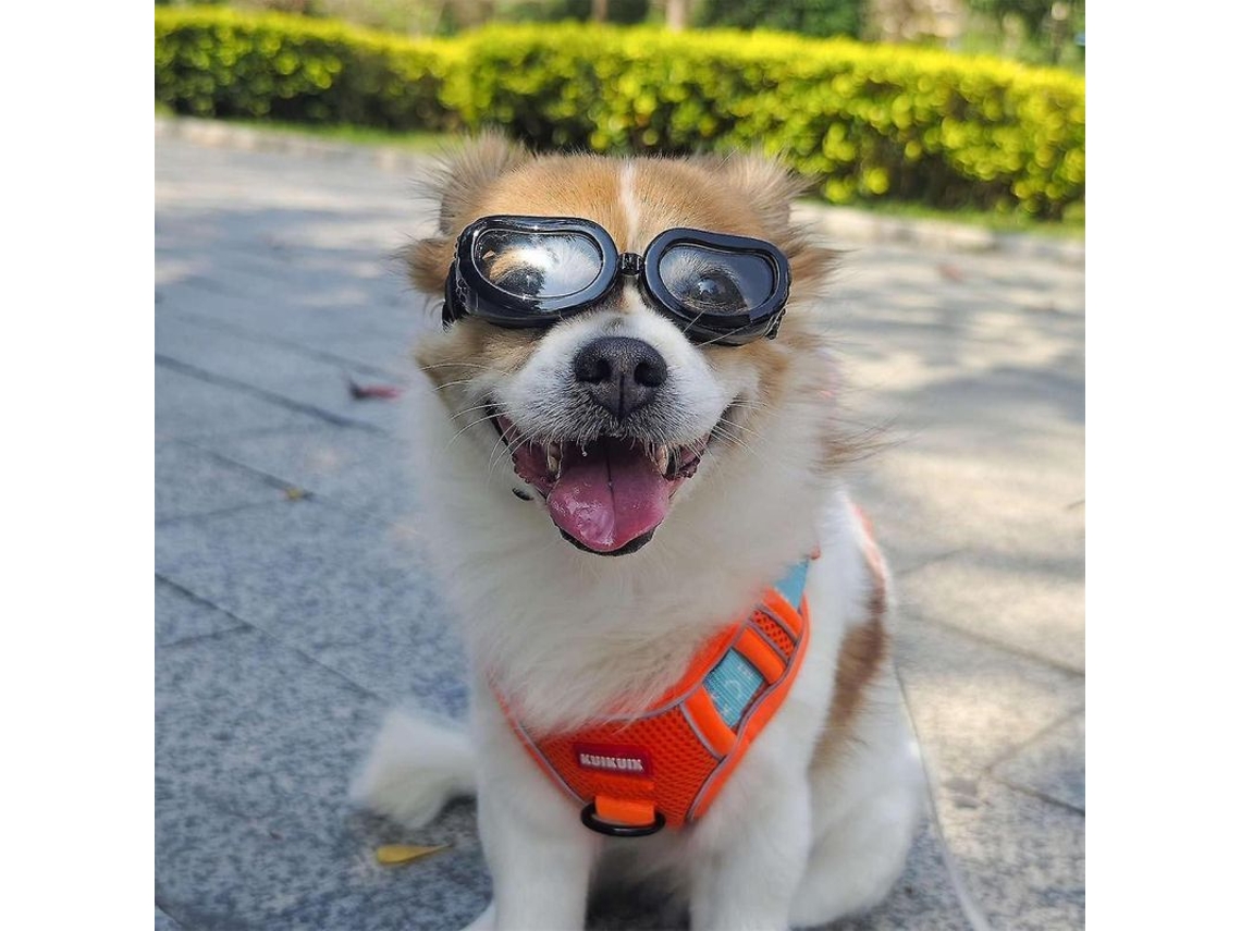 Gafas de sol para perros pequeños con protección UV, resistentes al viento y al polvo, correas ajustables YKH negras