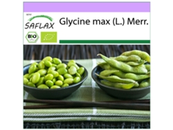 SAFLAX Ecológico Alubia Edamame 8 semillas Glycine max (L.) Merr.