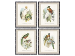 Cuadro DKD HOME DECOR Birds (50 x 2 x 60 cm)