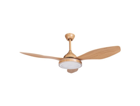 Ventilador de Techo BELIANI MUDDY