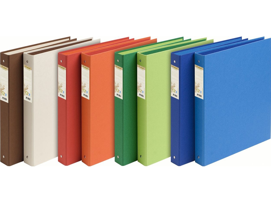 EXACOMPTA 51980E Carpeta de Cartón A4 Multicolor