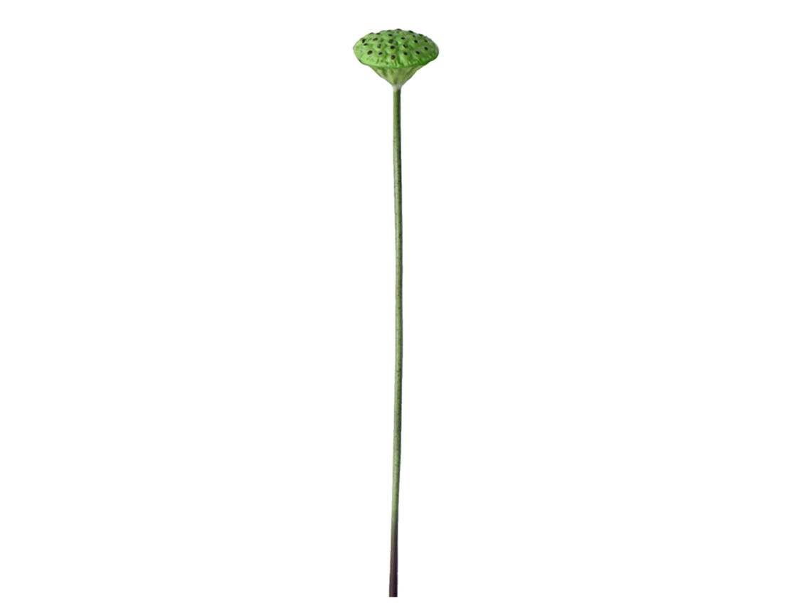Cápsula de semilla de loto Simile (material de PU, diseño realista)