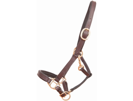 Cabezada para potro o mini caballo de cuero T de T