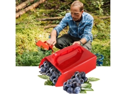 Colhedor De Frutas Vermelhas Com Pente