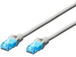 Cable de Red EWENT (RJ45 - 2 m - Gris)