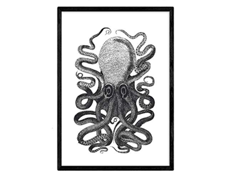 Láminas NACNIC Pulpo Blanco y Negro (A3)