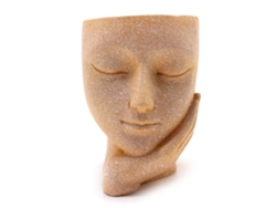 Bonita Maceta Decorativa Pequeña De Resina Con Forma De Carita De Suculenta Para Mesa.