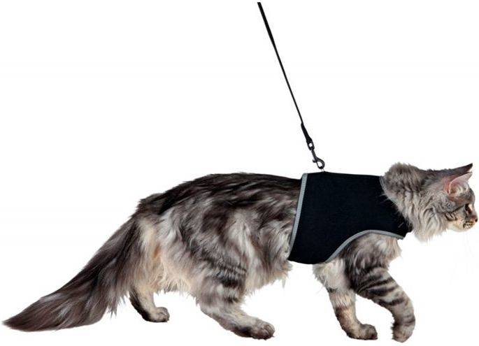 Arnés y Correa para Gatos TRIXIE Ajustable (Negro - 24-42cm - Nylon - S - Porte Pequeño)