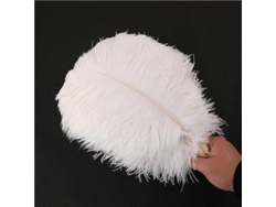 2026-plumas De Avestruz 30-35cm Blancas/negras Para Decoración De Bodas Y Manualidades 1-50pcs Hgd 20 Piezas Blanco
