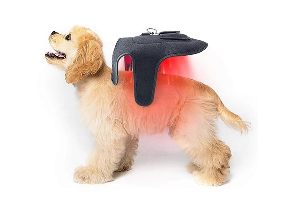 Cinturón de terapia de luz infrarroja para perros y gatos, dispositivo recargable con 42 LED ROSEWELL