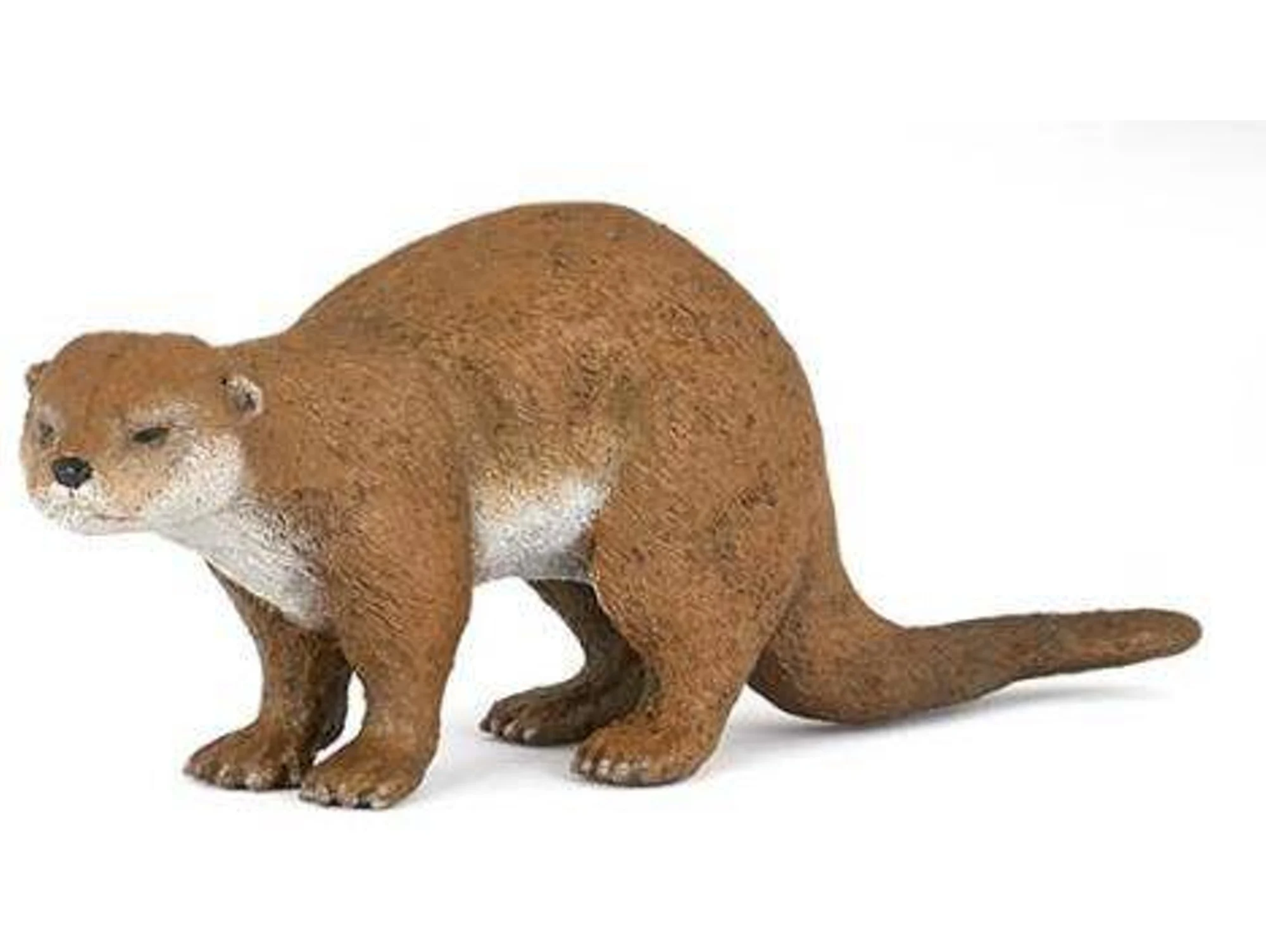 Figura PAPO Lontra