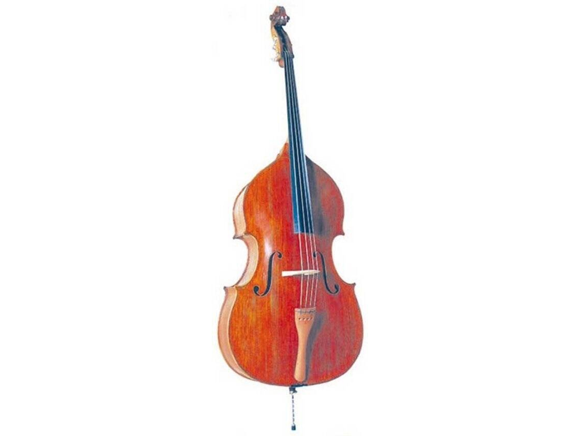 Contrabajo OQAN ODB200 1/2 (Amplificación: Acustica)