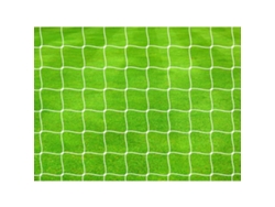 Red de fútbol para la portería PRECISION Pro (x2)