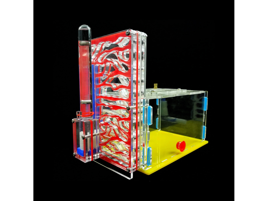 Hormigas Nest DIY T-design con área de alimentación de acrílico para insectos