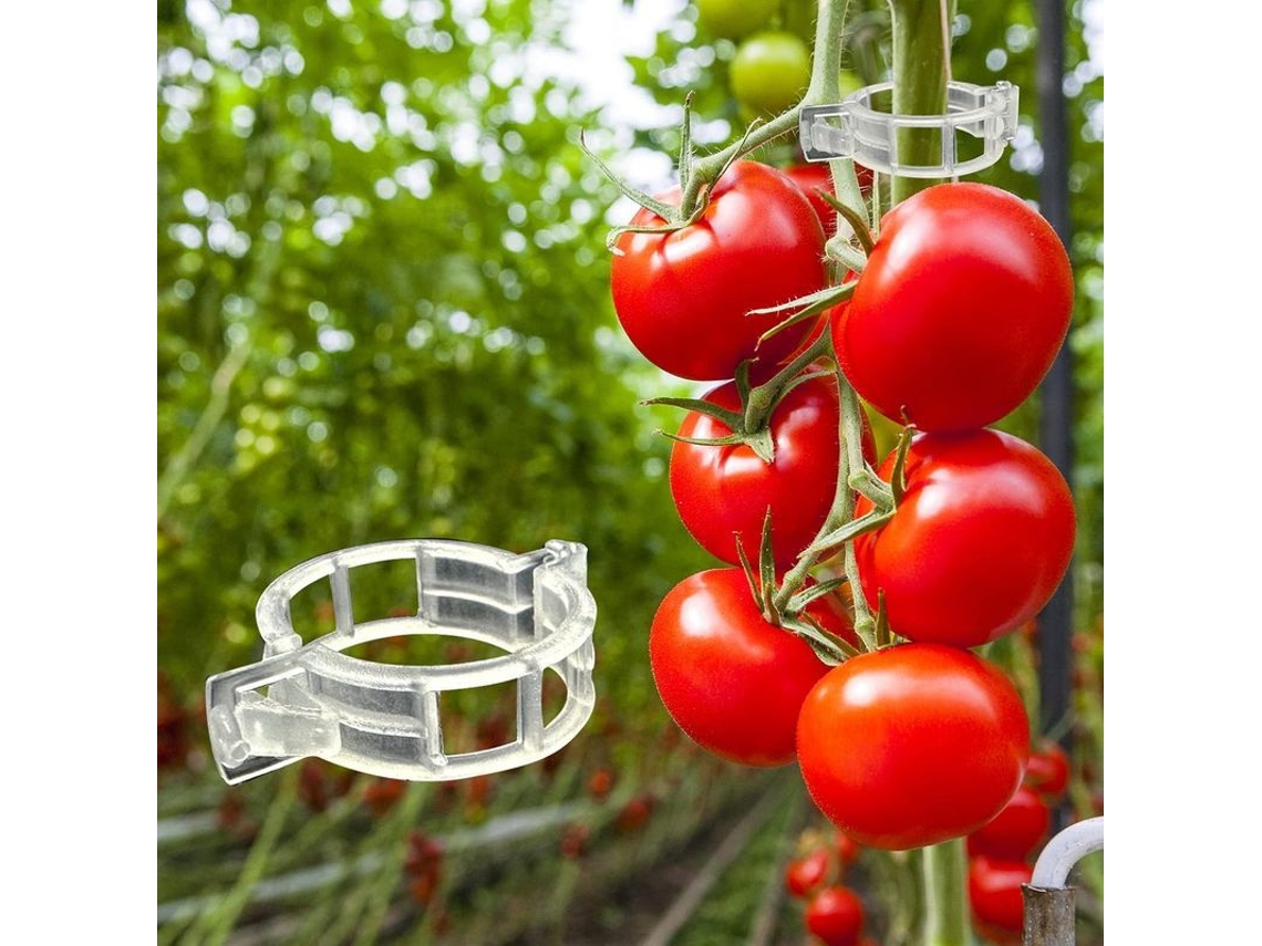 Clips De Soporte Para Plantas, 300 Unidades, Clips De Plástico Para Enrejado De Tomates, Sandías Y Pepinos.