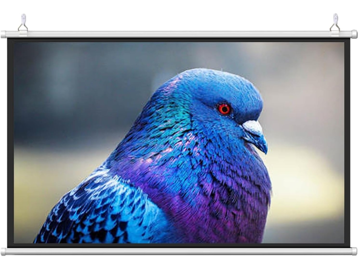 Pantalla De Proyección De 30, 40, 50, 60 Y 72 Pulgadas, Enrollable Manualmente, Pantalla Para Proyector De