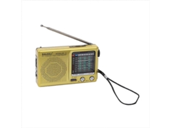 Radio meteorológica GOKOCO Mini: práctica y multifuncional.