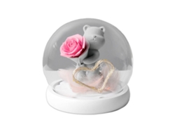 Regalo de San Valentín: flor eterna, osito de peluche, regalo creativo MEOIRUERY