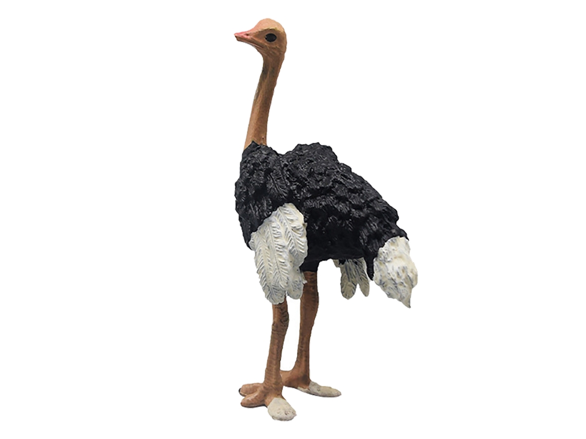 Ats-figura De Avestruz Realista Juguete Educativo Lifelike Simulado Animal Salvaje Modelo Para Niños Y Niñas