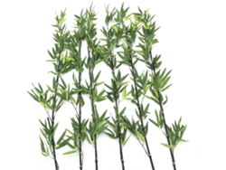 Planta Artificial EUROPALMS Bamboo Tube (Verde - 180 cm)