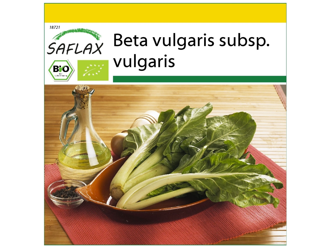 SAFLAX Conjunto de cultivo Ecológico Acelga suiza 150 semillas Con mini invernadero, sustrato de cultivo y 2 macetas Beta vulgaris subsp. vulgaris