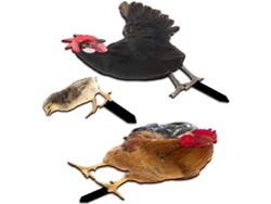 Decoración De Jardín Con Gallinas Kichouse, Con Poste Acrílico Para Gallinas, Tres Piezas Con Gallo, Gallina Y Pollitos