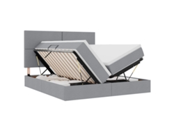 Maison Exclusive - Cama De Almacenamiento Led Con Colchón Gris Claro 200 X 200 Cm