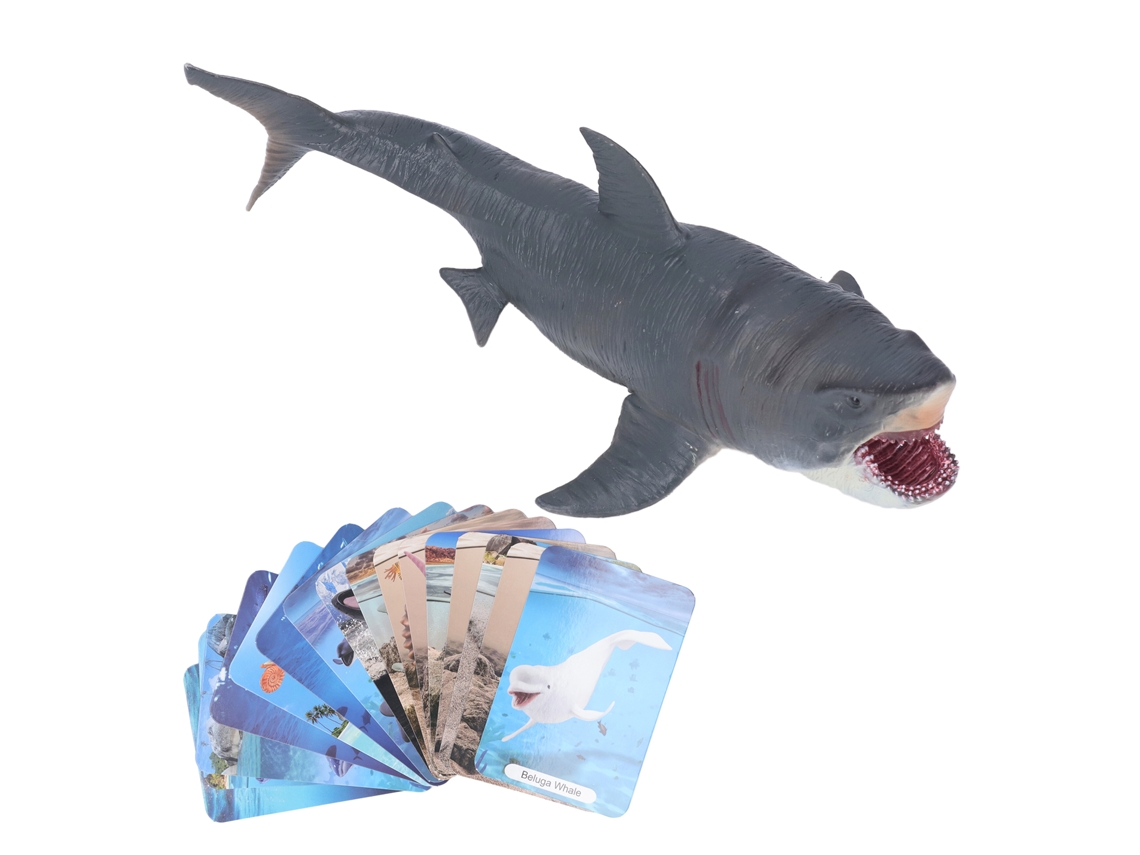 Rebe-modelo De Animales Marinos Figura Simulada Colección De Juguetes Regalo De Cumpleaños Para Niños