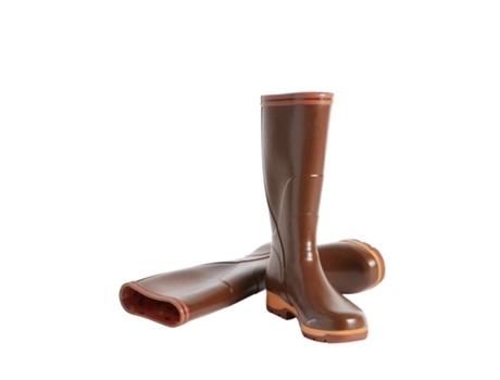 Botas de Hombre AIGLE Lluvia Tancar Marrón (43)