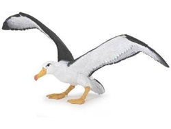Figura PAPO Albatroz