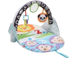 Gimnasio FISHER-PRICE Multicolor (recién nacido)