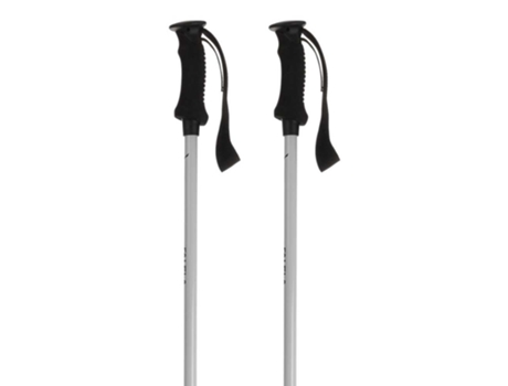 Poloneses Puez Aluminum Pro Prateadosalewa