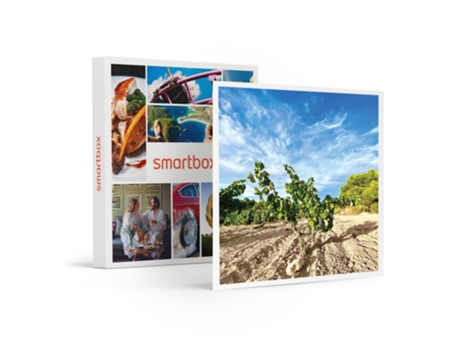 Caja Regalo SMARTBOX Bodega Cerrón: visita a bodega, viñedos y cata con 4 vinos con maridaje de quesos