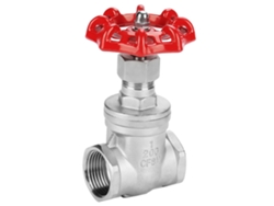 Válvula de gaveta em aço inoxidável DN25 BSPP G1 para água, óleo, gás, válvula deslizante rotativa