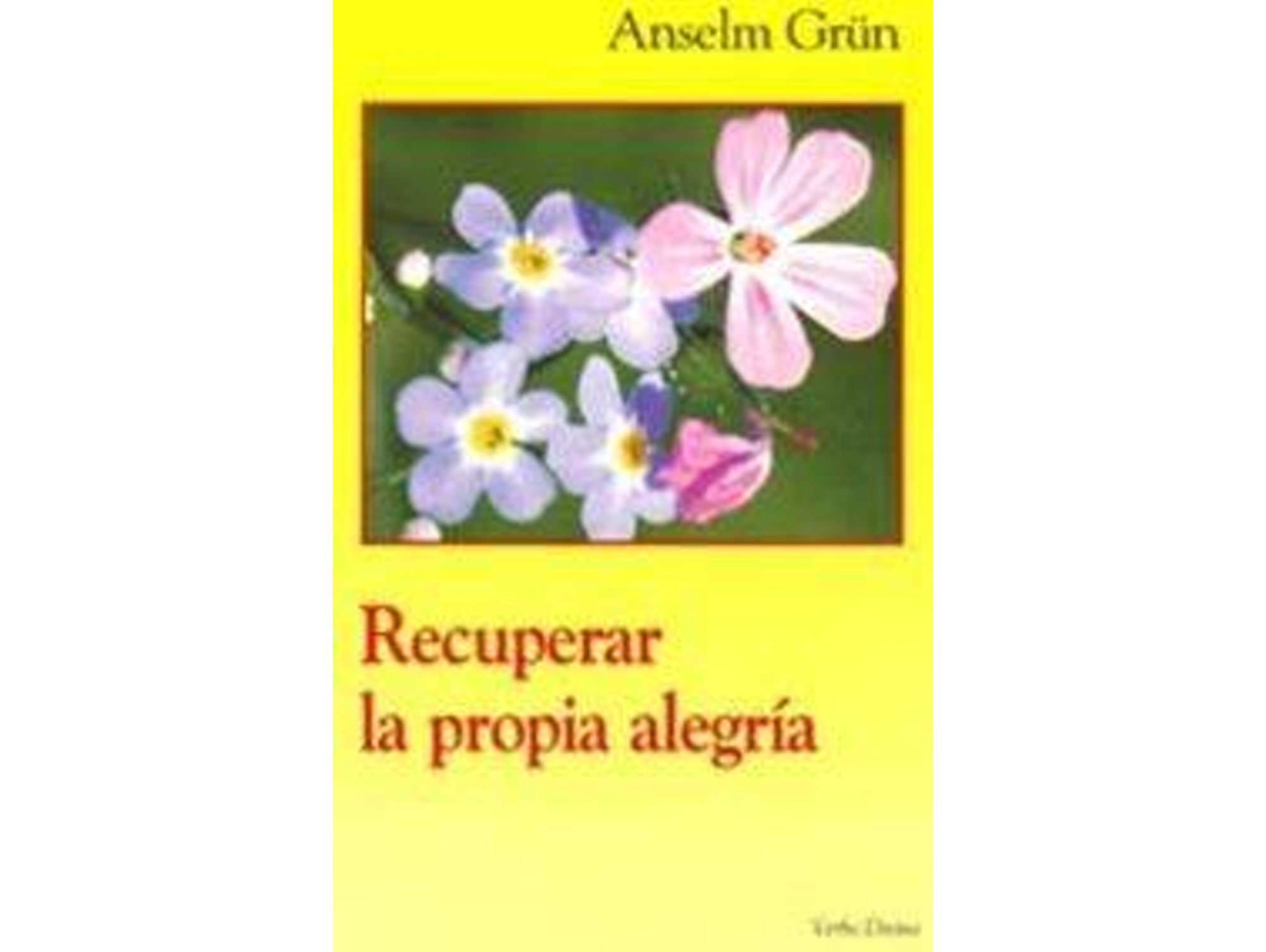 Libro Recuperar Propia Alegria.(Surcos) de Anselm Grun (Español)