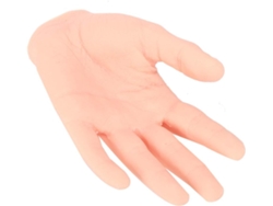 Mano De Entrenamiento De Silicona, Izquierda, Para Principiantes Con Textura Realista, 20 Cm (7,9 Pulgadas)