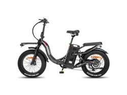 Bicicleta eléctrica Fafrees F20 X Max 750w 48v30ah 20 pulgadas 45km/h color gris